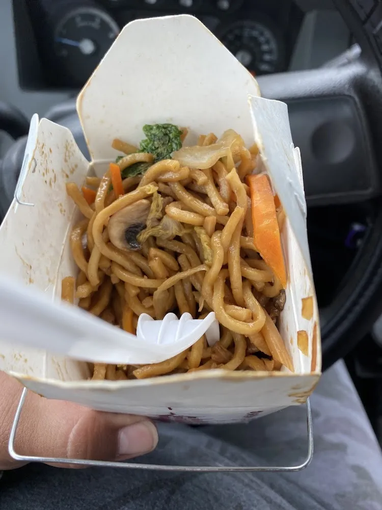 Combination Lo Mein Noodles